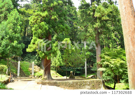 群馬縣藤岡市妙義町的能量聚集地妙義神社 群馬縣藤岡市妙義町的能量聚集地妙義神社 117302688