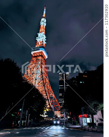東京鐵塔和城市景觀 東京鐵塔和城市景觀 117302910