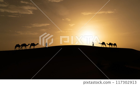 Silhouette of unidentified Berber man leading camel across sand dunes during sunset in Sahara Desert, Morocco 117302913