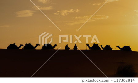 Silhouette of unidentified Berber man leading camel across sand dunes during sunset in Sahara Desert, Morocco 117302914