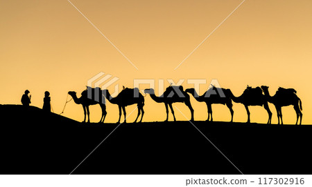 Silhouette of unidentified Berber men with their camel caravan on sand dunes during sunset in Sahara Desert, Morocco 117302916