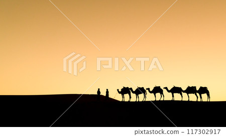 Silhouette of unidentified Berber men with their camel caravan on sand dunes during sunset in Sahara Desert, Morocco Silhouette of unidentified Berber men with their camel caravan on sand dunes during sunset in Sahara Desert, Morocco 117302917