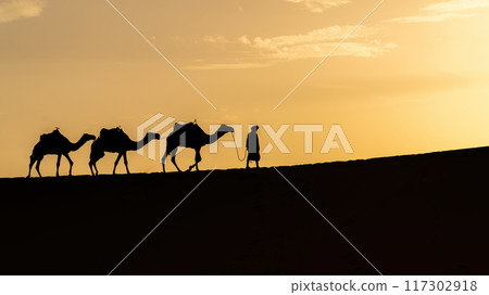 Silhouette of unidentified Berber man with his camel caravan on sand dunes during sunset in Sahara Desert, Morocco Silhouette of unidentified Berber man with his camel caravan on sand dunes during sunset in Sahara Desert, Morocco 117302918