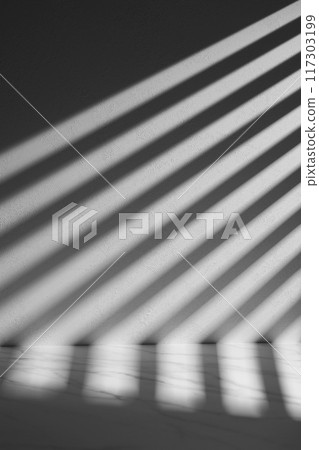 A sunny room with windows. Background with multiple objects and shadows for different designs. A sunny room with windows. Background with multiple objects and shadows for different designs. 117303199