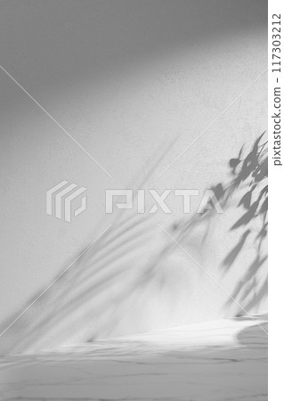 A sunny room with windows. Background with multiple objects and shadows for different designs. 117303212