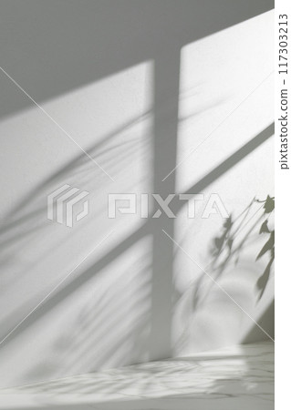 A sunny room with windows. Background with multiple objects and shadows for different designs. 117303213