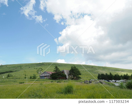 夏季的霧峰高原 117303234