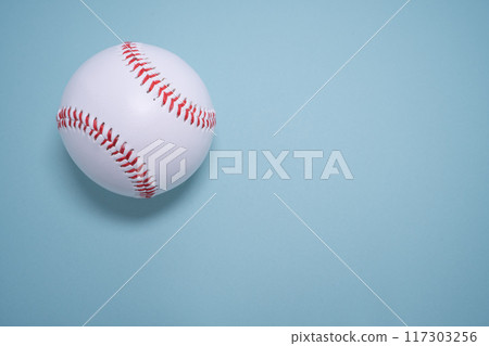 剛性棒球球 117303256