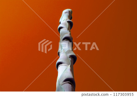 Unusual colorful tropical trees with fallen leaves, background 117303955