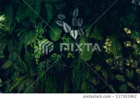 natural green wallpaper and background 117303962