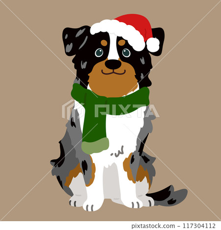 Simple and cute Christmas Australian Shepherd illustration (no main lines) Simple and cute Christmas Australian Shepherd illustration (no main lines) 117304112