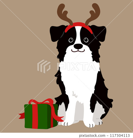 無主線聖誕簡單可愛邊境牧羊犬插畫 117304113