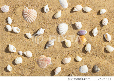 Sandy beach with seashells summer pattern. Sea background with shells. Top view, flat lay. 117304445