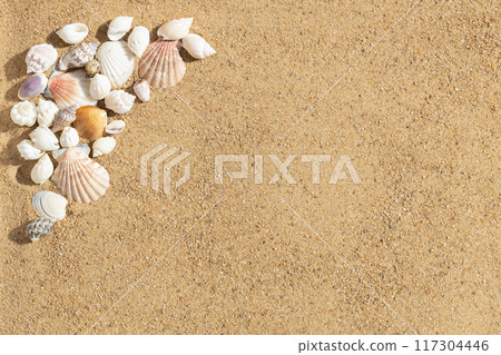 Beautiful shells on the sand frame. Natural background with seashells on sandy beach. Copy space, top view. 117304446