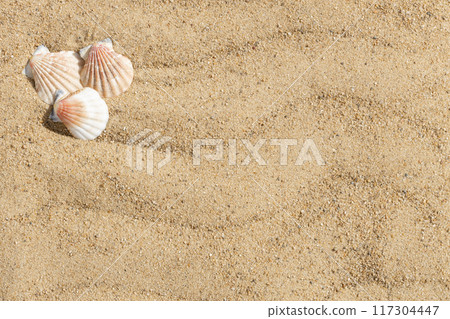 Sandy beach background with seashells. Shells on the sand with copy space. View from above. 117304447