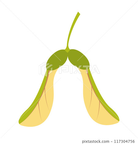 Maple seed. Hand drawn trendy flat style isolated  117304756