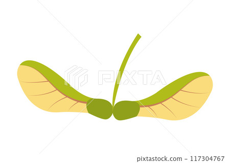 Maple seed. Hand drawn trendy flat style isolated  117304767
