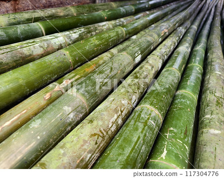 A collection of green bamboo rods piled one on top of another in a stack 117304776