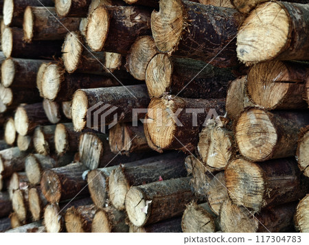 Logs are neatly piled on top of one another, forming a stack Logs are neatly piled on top of one another, forming a stack 117304783