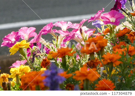 Roadside plants: Flowerbeds tended by children's groups and neighborhood associations 117304879