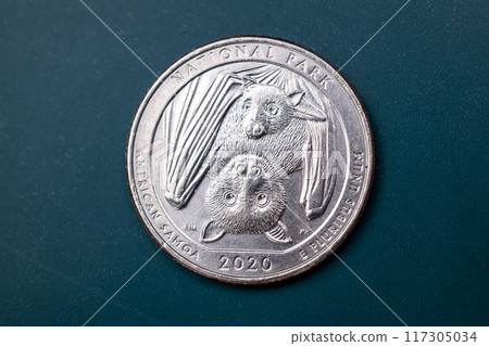 Quarter dollar US, 25 cent coin 117305034