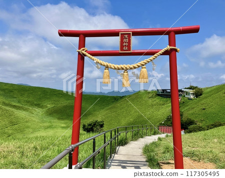 從大室山頂眺望_靜岡縣伊東市_大室山淺間神社 從大室山頂眺望_靜岡縣伊東市_大室山淺間神社 117305495