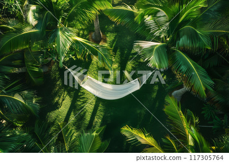 Aerial view of tranquil solitary hammock swaying between palm trees at a tropical wellness retreat, the embodiment of relaxation and health 117305764