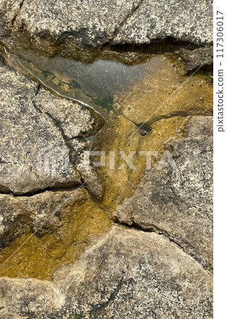 Unusual texture of stone sea shore Unusual texture of stone sea shore 117306017