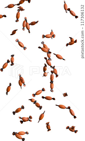 Halloween candies on a transparent background vertical PNG Halloween candies on a transparent background vertical PNG 117306132