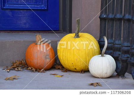 Pumpkin in front of an old gravestone, Halloween decoration. Pumpkins on the steps, Halloween porch decorations, autumn background, colorful fall vegetables. 117306208