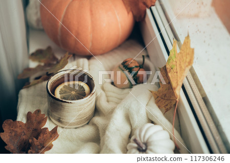Cozy autumn still life Cozy autumn still life 117306246