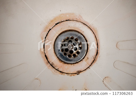 Dirty drain in the bathroom, cleaning service concept, old rusty shower drain 117306263