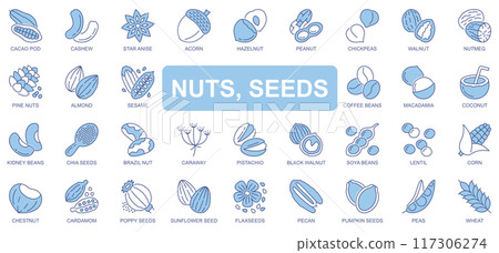Nuts and seeds icons set in duotone outline stroke design for web. Pack pictograms of cacao, cashew, star anise, acorn, hazelnut, peanut, chickpea, almond, coffee bean, other. Vector illustration. Nuts and seeds icons set in duotone outline stroke design for web. Pack pictograms of cacao, cashew, star anise, acorn, hazelnut, peanut, chickpea, almond, coffee bean, other. Vector illustration. 117306274