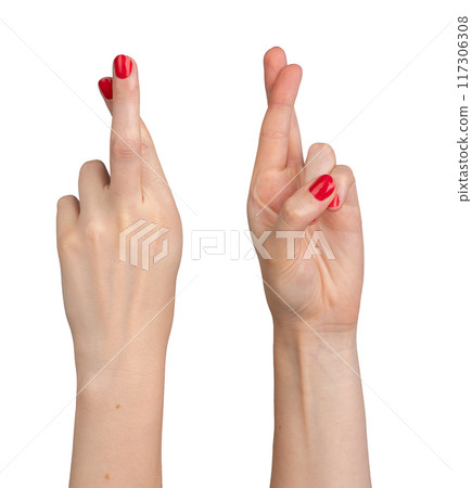 crossing fingers sign, liar gesture, isolated on white background 117306308
