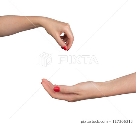 hand giving pinching and taking, begging isolated on white background hand giving pinching and taking, begging isolated on white background 117306313