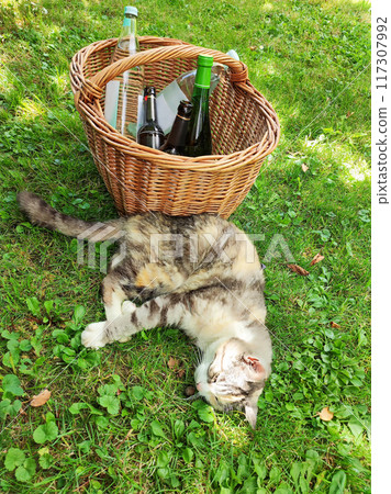 Funny cat sleeps by the basket with strong drinks Funny cat sleeps by the basket with strong drinks 117307992
