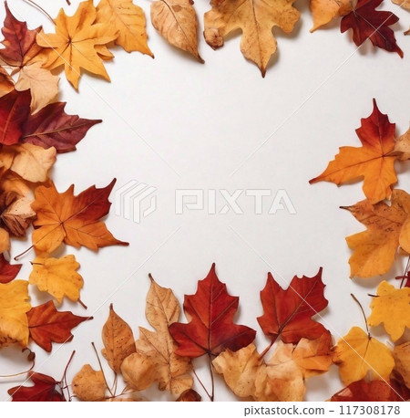 Colorful background of autumn maple tree leaves background with white empty space for text. Multicolor maple leaves autumn background.  117308178