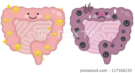 Healthy and unhealthy intestines 117308230