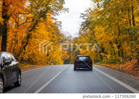 Back scenic view black family car driving wet countryside road through bright autumnal golden red orange nature foliage forest trees. Scenery fall season highway vehicle. Drive auto safety Back scenic view black family car driving wet countryside road through bright autumnal golden red orange nature foliage forest trees. Scenery fall season highway vehicle. Drive auto safety 117308260