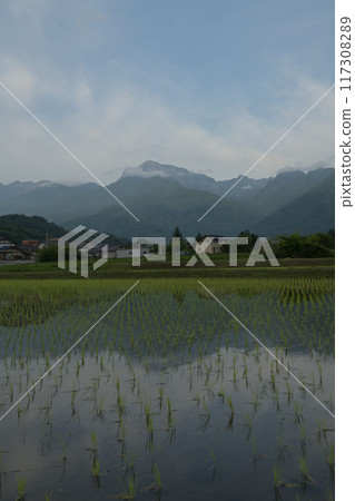 北斗市白州町種植的稻田,映照出南阿爾卑斯山開駒岳的曙光。 北斗市白州町種植的稻田,映照出南阿爾卑斯山開駒岳的曙光。 117308289