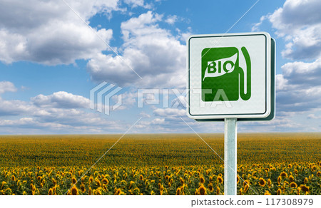 Road sign with symbol of bio fuel fillng station Road sign with symbol of bio fuel fillng station 117308979