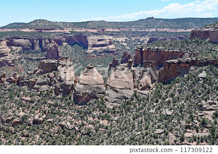 Scenic view in Colorado National Monument on sunny summer day. Scenic view in Colorado National Monument on sunny summer day. 117309122