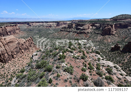Scenic view in Colorado National Monument on sunny summer day. 117309137