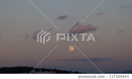 Pink Moon at Sunset Pink Moon at Sunset 117309843