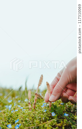 與馬尾的春天風景 117310069