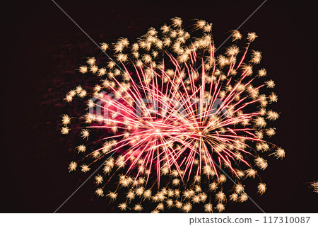 Fireworks that draw a beautiful parabola 117310087