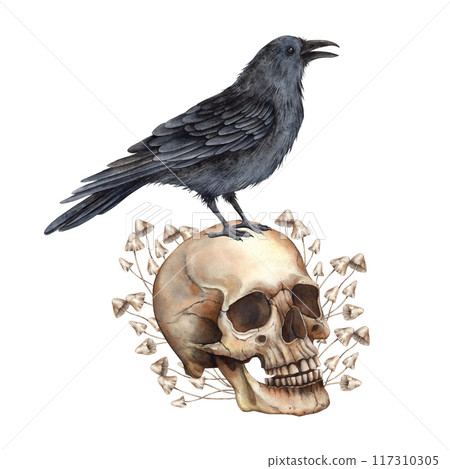 Realistic skull, poisonous mushrooms and black raven. Watercolor illustration hand drawn in gothic style. Halloween decoration, Mexican Day of the Dead symbol, gothic style design, cards and posters 117310305
