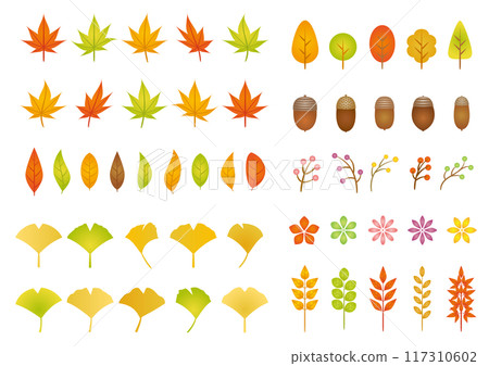 Simple autumn plant material set Simple autumn plant material set 117310602