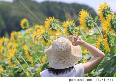 A woman posing with a field of sunflowers in full bloom in the background A woman posing with a field of sunflowers in full bloom in the background 117310654