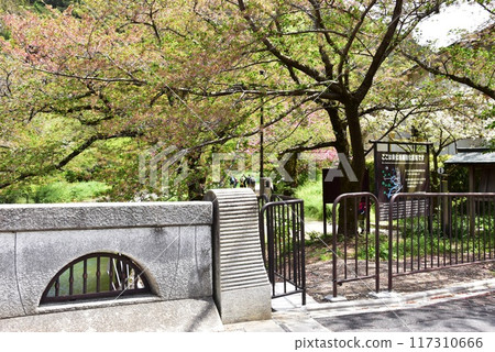 Yamashina Ward: Lake Biwa Canal's Anshu Bridge, the Yamashina Canal Walkway, and fresh greenery 117310666